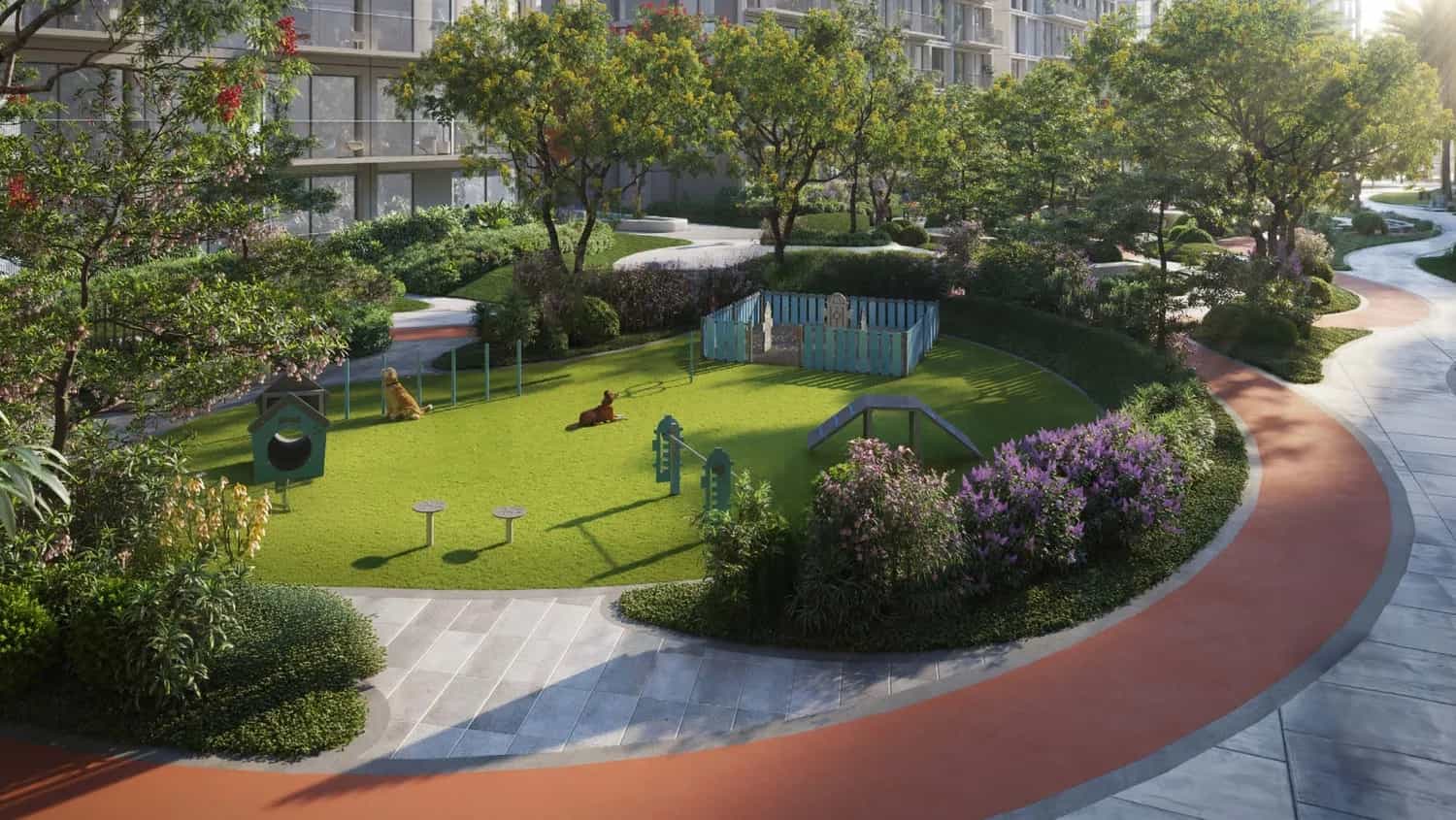 Dog Park