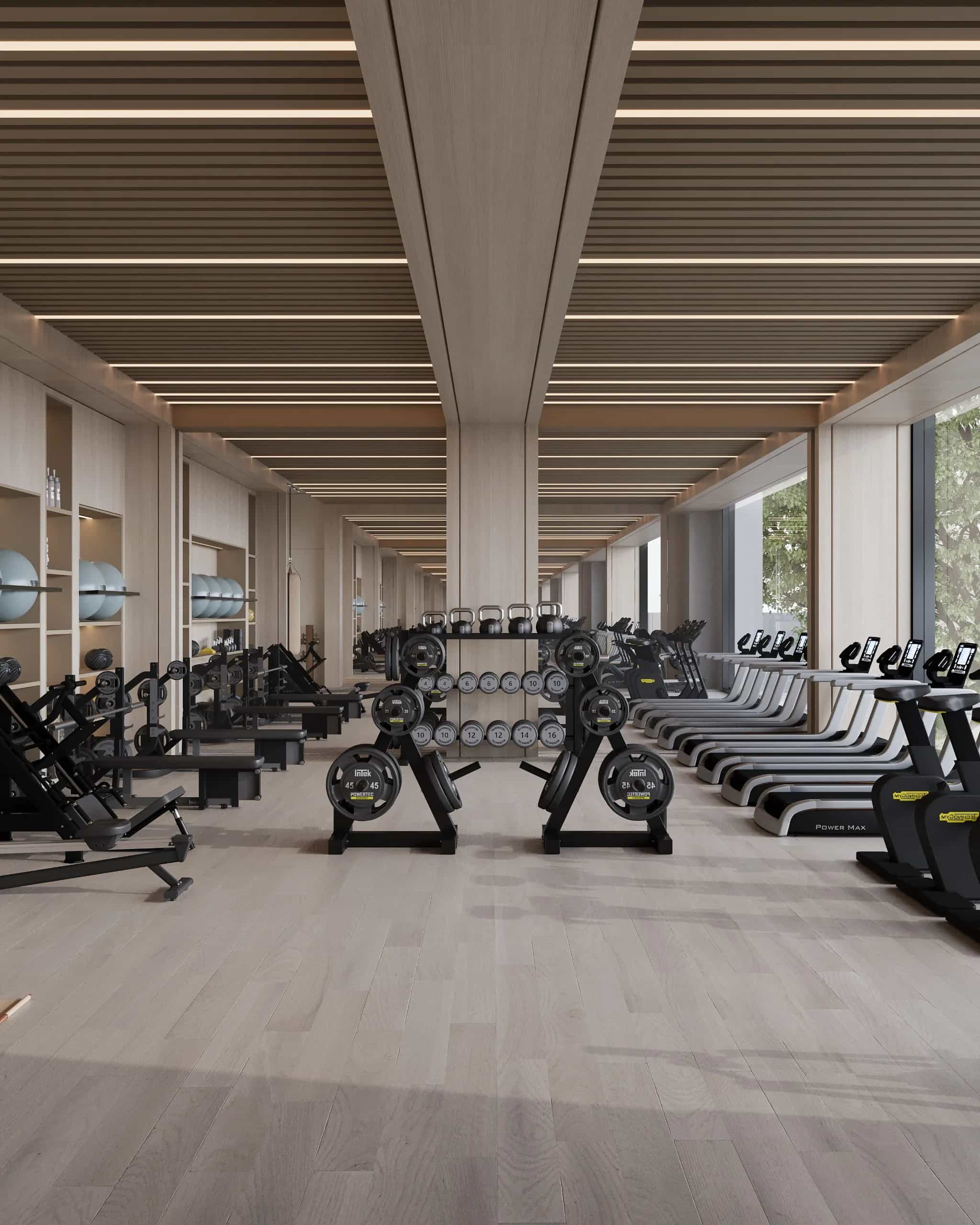 Modern Gym and Wellness Studio