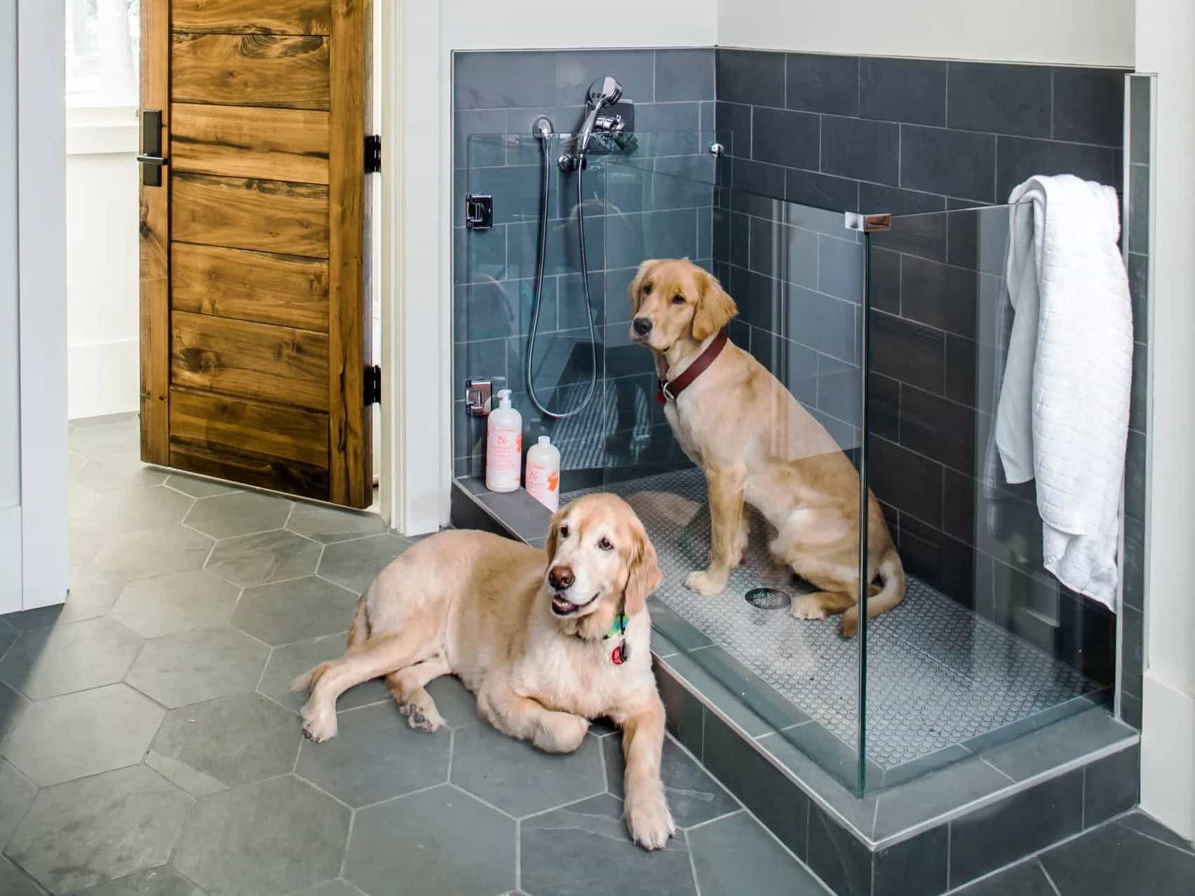 Pet Wash
