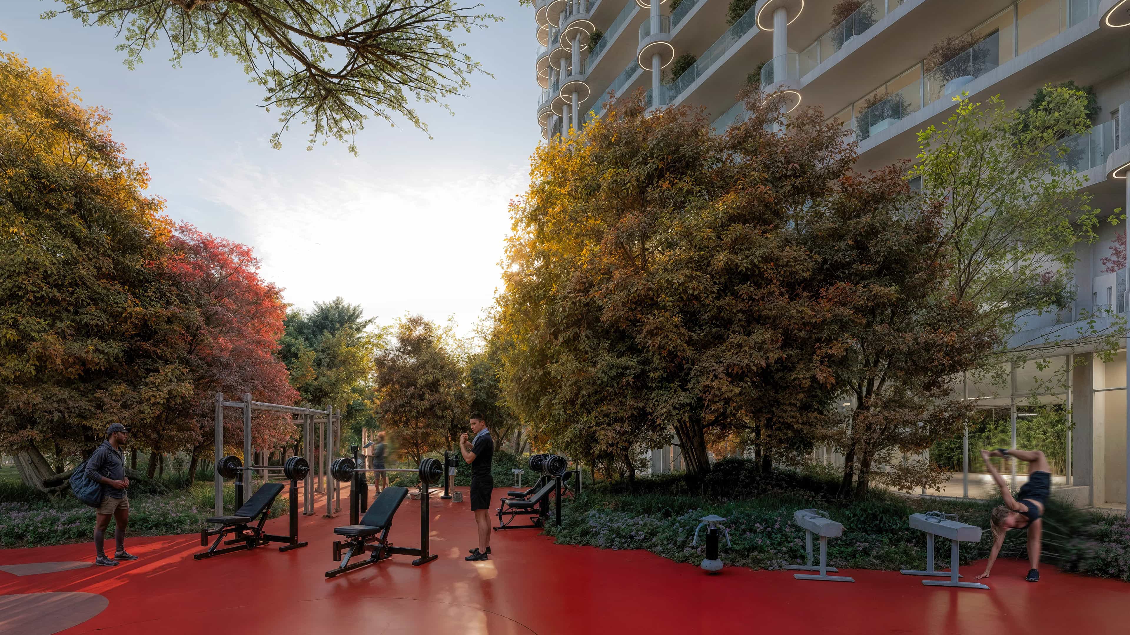 Outdoor Gym
