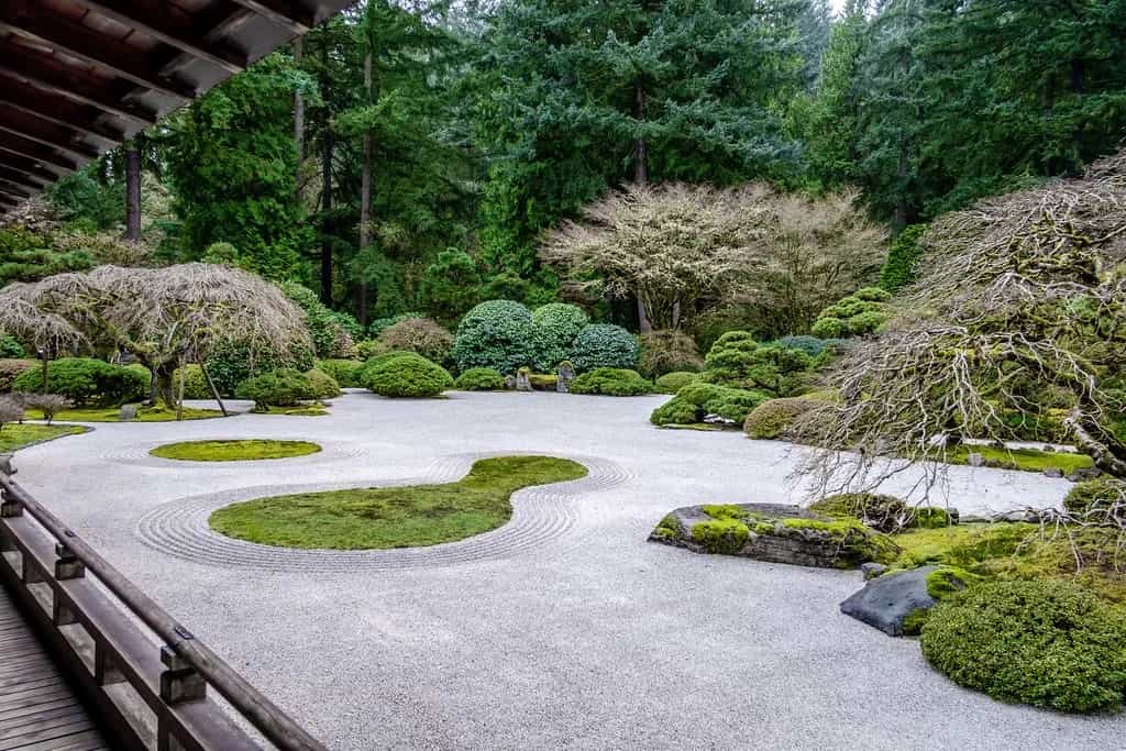 Zen Garden