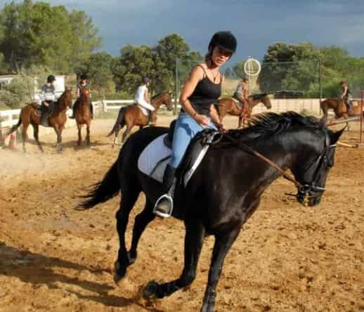Riding School