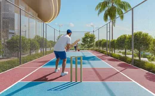 Cricket Pitch