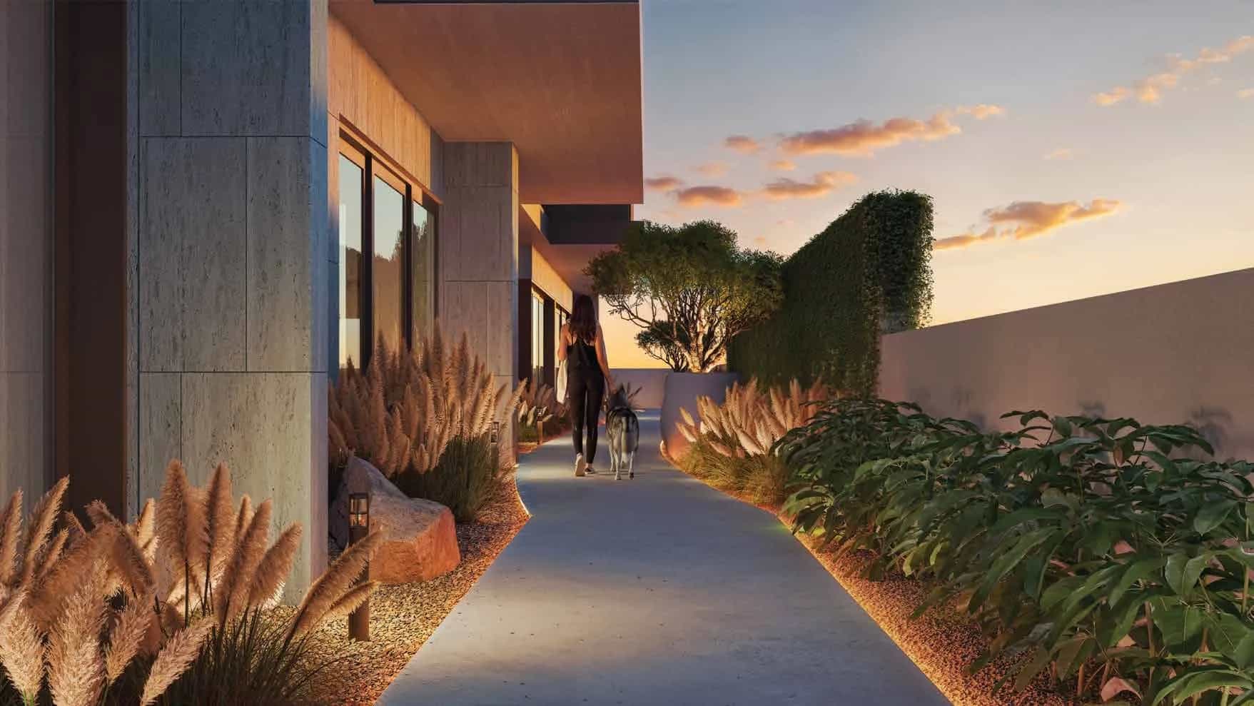 Pet-Friendly Walking Track