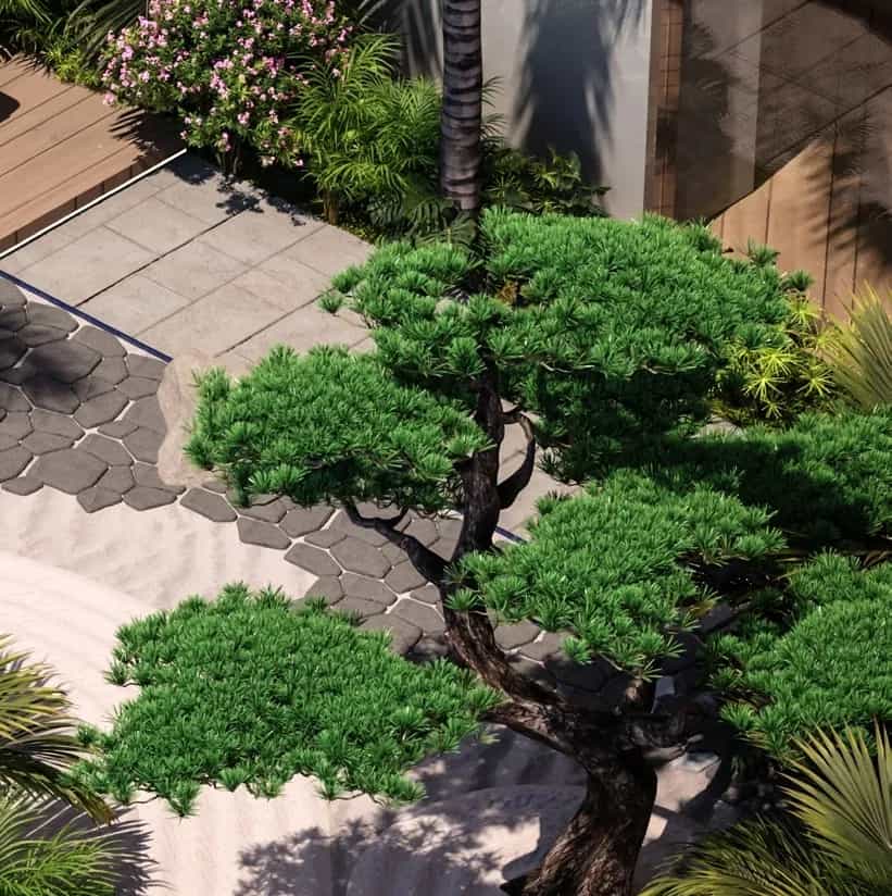 Zen Garden