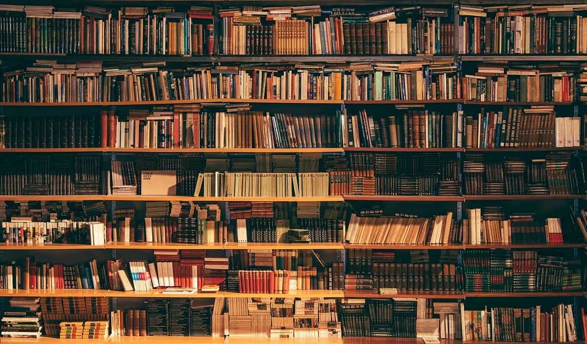Reading Zone