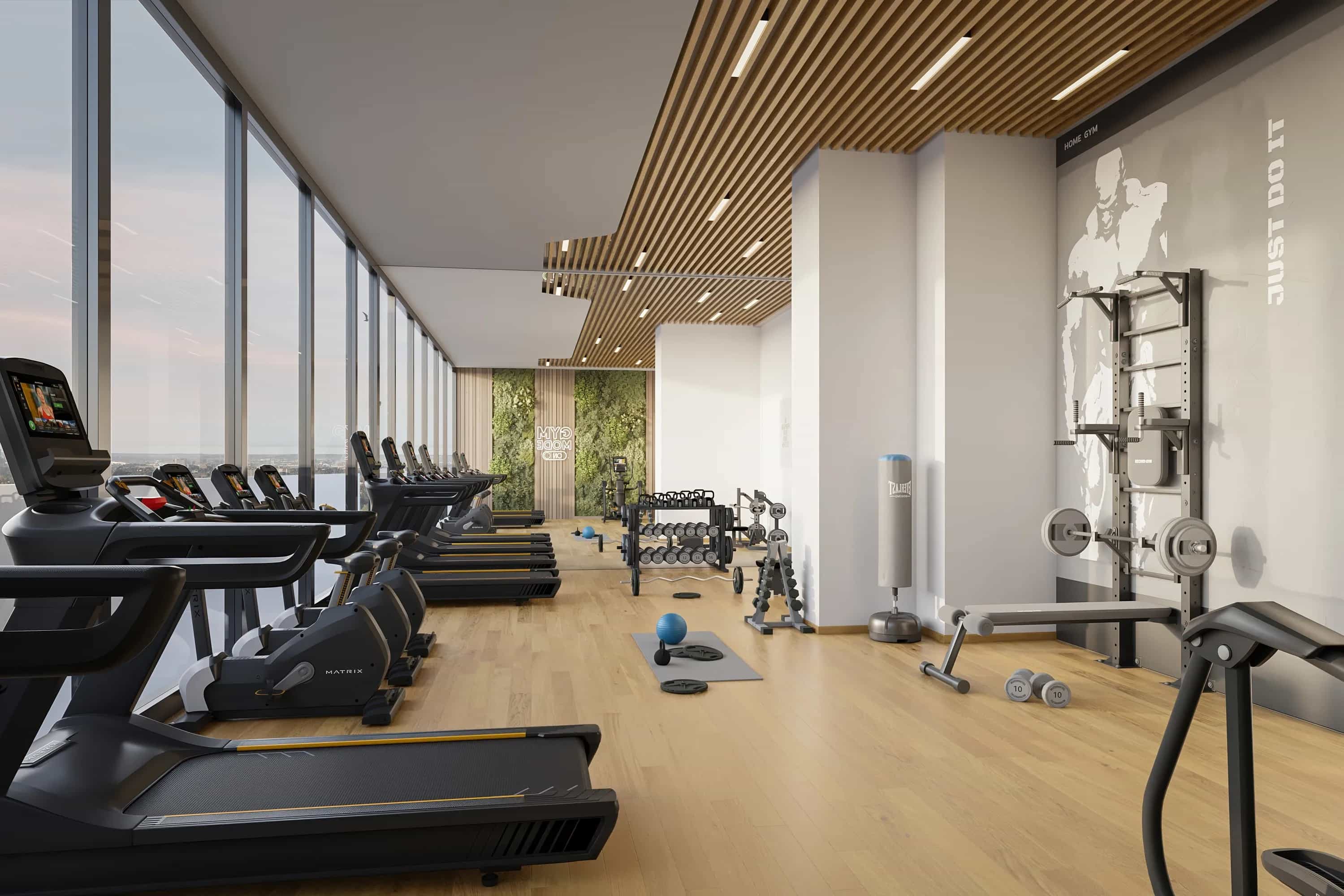 Gymnasium
